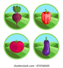 Beet, eggplant, tomato, pepper. Organic vegetables, round vector color badges or tags