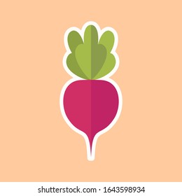 Beet flat design vector illustration  . Beetroot healthy Food concept. can use for, colouring pages, t-shirt print, icon, logo, label, patch, sticker.