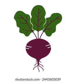 Beet flat icon isolated on white