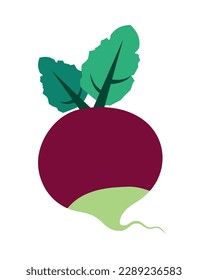 Rübe Frisches Bio-Obst und Gemüse einzeln