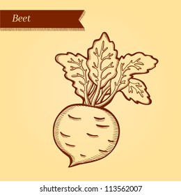 Beet, fresh vegetables. Retro style. Easily editable vector. Vegetable on the yellow retro background. Isolated vector.