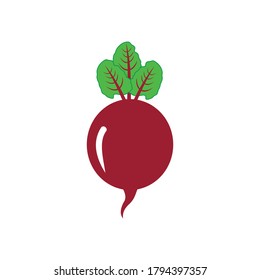beet fruit icon vector symbol isolated illustrations white background