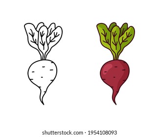 Beet with greens doodle icon. Linear and color version. Hand drawn simple illustration of beetroot with leaves. Contour isolated vector pictogram on white background