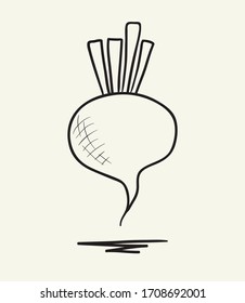 Beet. Hand drawn vector illustration.