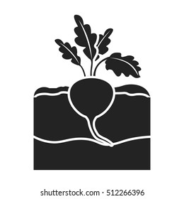 Beet icon in black style isolated on white background. Plant symbol stock vector illustration.
