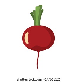 Beet icon in cartoon flat style isolated object vegetable organic eco bio product from the farm vector illustration