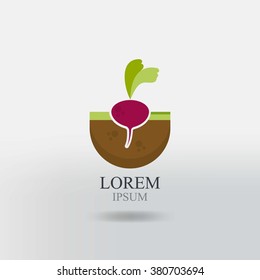 beet icon. farming logo, fresh and organic foods
