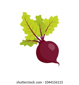 Beet icon in a flat design on a white background. Vector illustration