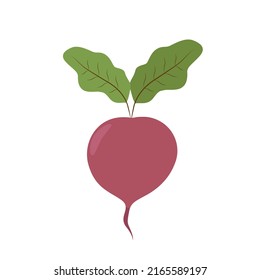 Beet icon. Flat design on a white background. Vector stock illustration