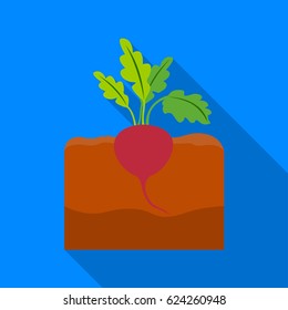 Beet icon flat. Single plant icon from the big farm, garden, agriculture flat.