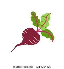 Beet  icon in flat style. Isolated object. Beet  logo. Organic food. Vector illustration. Vegetable from the farm. 