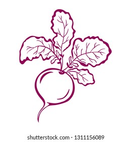 Beet icon illustration isolated vector sign symbol. Flat design, vector.