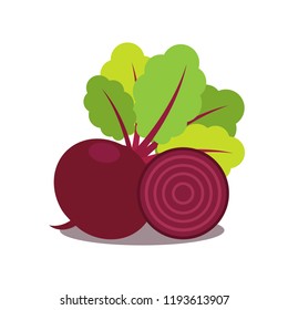 Beet, Icon on white background. Vegetable whole and half. Root with tops.  Vector flat illustration. beetroot. 