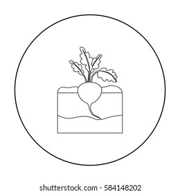 Beet icon outline. Single plant icon from the big farm, garden, agriculture outline.