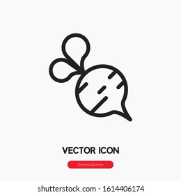 beet icon vector. Linear style sign for mobile concept and web design. beet symbol illustration. Pixel vector graphics - Vector.