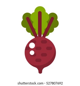 Beet icons set in flat style. Beetroot vector editable image, style isolated on white background illustration
