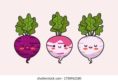 Rübendarstellung. Cute Vector Radish und Beet Bundle