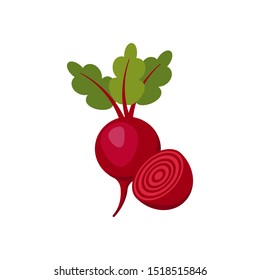 beet isolated on white background. Vector illustration. Eps 10