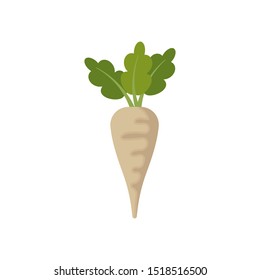 beet isolated on white background. Vector illustration. Eps 10