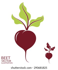 Beet. Isolated vegetables on white background