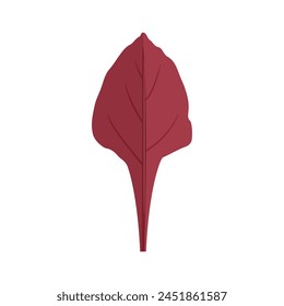 Hoja de remolacha - Sangre de toro. Ilustración de la historieta del Vector de la verdura de hoja. Icono plano simple de comida saludable.