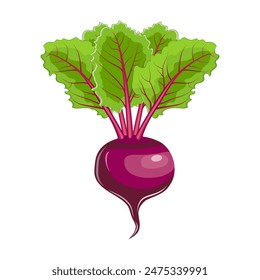 beet with leaves icon. Farm fresh beet product emblem for grocery shop, vegetarian vegetable juice label, sticker design. vector illustration in flat style