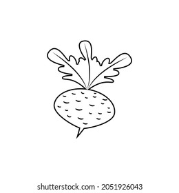 Beet with leaves. Linear outline. Vector icon and clipart. Black and white isolated illustration.