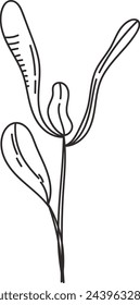 Beet Micro Greens Sketch Vector Illustration