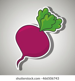 Beet, Nutritive food design, vector illustration eps10 graphic 