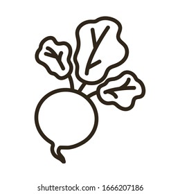 beet on white background, line style icon vector illustration design