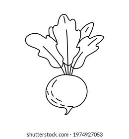 Beet outline doodle icon isolated on white background. Vegetarian healthy food. Vector sketch illustration for icon, web, mobile, infographics, logo, print, icon, card, emblem, label, food menu