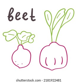 Beet. Outline vector hand drawn icons on white background.