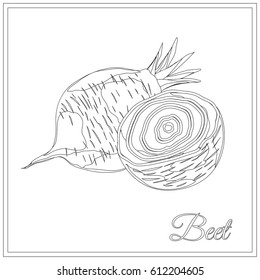 Beet. Page for coloring book. Doodle design.Vegetables. Vector illustration. Black and White sample.