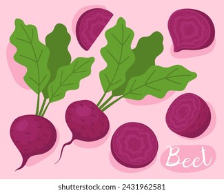 Beet. Purple beets with green leaves. Fresh vegetable. Ingredient for cooking. 