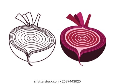 Beet root fresh vegetable vector illustration.  