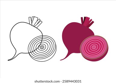 Beet root fresh vegetable vector illustration.  