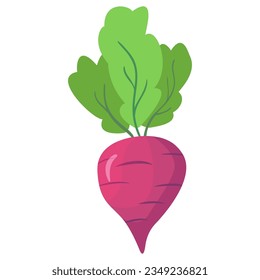 Beet root.Red beet with green leaves. Vegetable of farm product.Isolated on white background.Vector flat illustration.