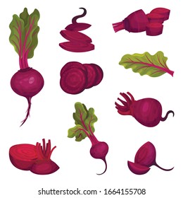 Beet Root with Green Top Leaves Cut and Whole Vector Set