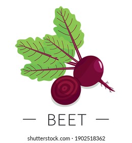 Beet root, half of beet roots, red beets with green leaves. Vector illustration