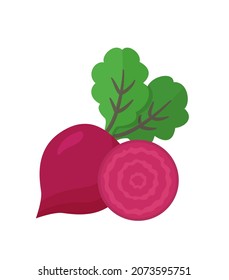 Beet root isolated on white background. Fresh red beetroot with leaves and a half. Vector illustration of vegetarian food. Natural organic vegetables