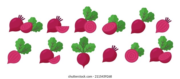 Raíz de remolacha aislada en fondo blanco. Abeja roja fresca con hojas y media. Ilustración vectorial de la comida vegetariana. Conjunto de verduras orgánicas naturales