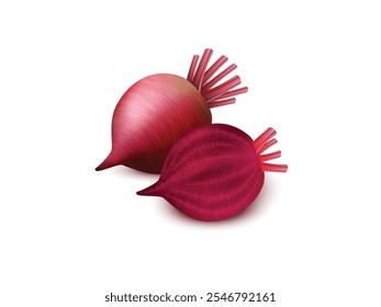 Beet root isolated on white background. Beet root isolated clipping path. Fresh Beet Root Isolated on White Background with Clipping Path, Realistic Beetroot Vegetable Illustration