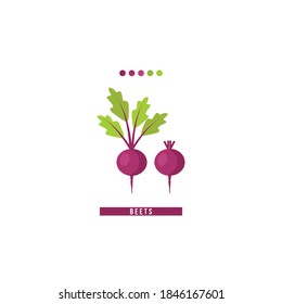 Beet root vector illlustration, Red Beet with Green Leaves and color palette.