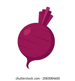 beet root vector illustration logo icon