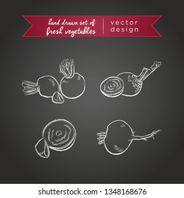 Beet. Set of fresh vegetables, whole, half and bitten with leaf. Vector illustration. Isolated on blackboard	
