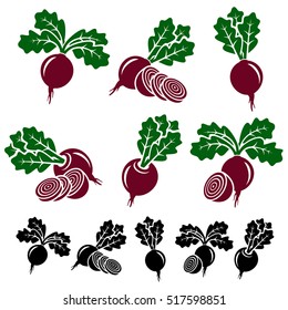 Beet set. Vector