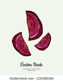 Beet slices vegetable vector isolate. Red sliced beetroot. Vegetables hand drawn illustration. Trendy food vegetarian sweet purple beetroot icon logo poster banner sketch. Vector illustration isolated