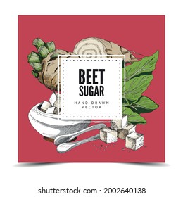 Beet sugar decorative frame or label template, hand drawn engraving vintage style vector illustration on red background. Sugar products emblem design.