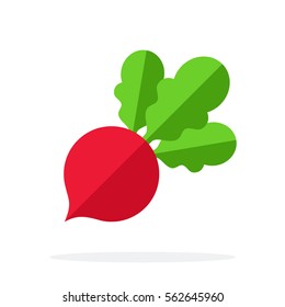 Beet vector flat material design object. Isolated illustration on white background.