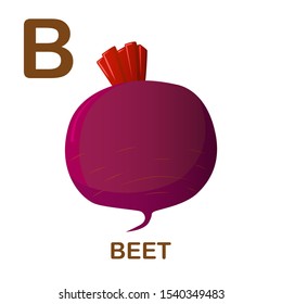 Beet vector icon. Illustration of beet for child alphabet on white background. Cartoon style.